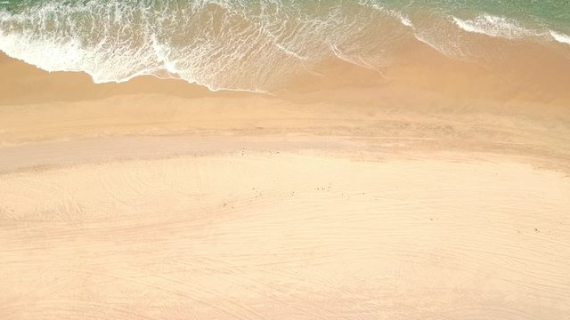 bech, abstract, pradise
