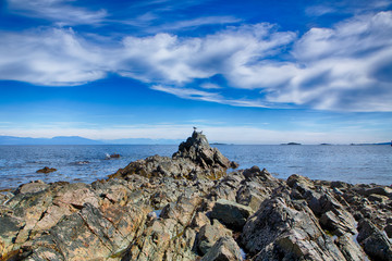 Fototapeta na wymiar Panorama Piper's Lagoon beach ( park ) Nanaimo, Vancouver Island, Canada