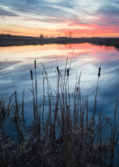 A dramatic sunset sky marks the end of the day at a wetland nature preserve in northern Illinois, USA.