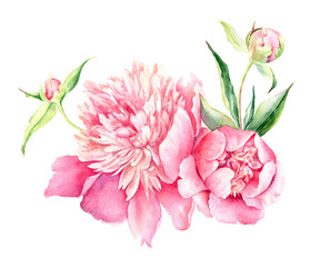 Panele Szklane  Watercolor illustration of Pink Peony. Romantic background for web pages, wedding invitations