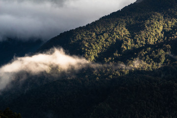 bosque, montañas y nubes