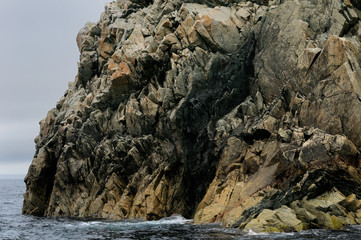 Jagged ancient rocks cliff face on the Atlantic coast of Twillingate Island Newfoundland