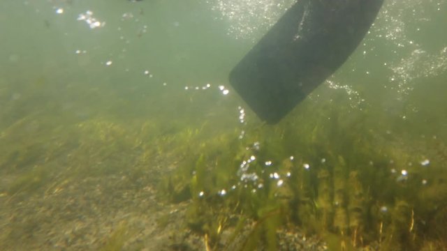 Under water footage of paddles moving through a river. Bubbles and kelp are visibly seen.