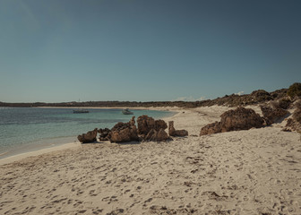 Fototapeta na wymiar One of the wonderful beaches on Rottnest Island, harbouring many yachts in its cristal clear water surrounded by bright sand. Nice weather and cloudless sky