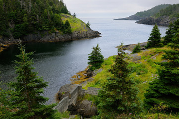 Obraz premium Abandoned fishing village of La Manche on Avalon Peninsula Newfoundland
