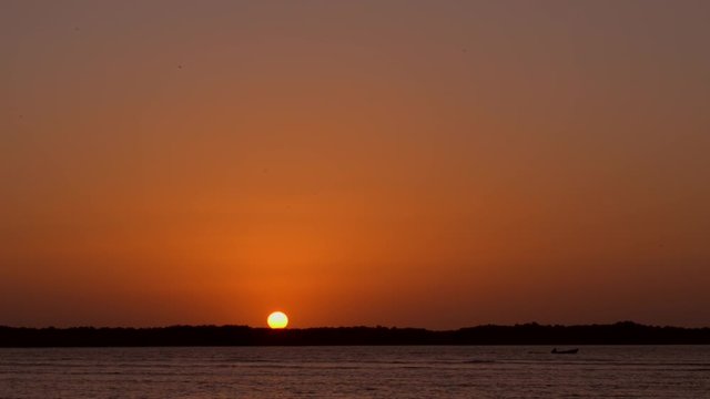 An amazing and poetic orange sunset on the Cispatá Bay in Colombia can be seen, while a little boat cruises the horizon and birds fly from one side to another. Beautiful contrasted scene.