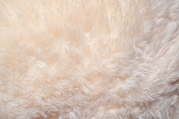 Texture of shaggy fur background. Detail of soft hairy skin material.