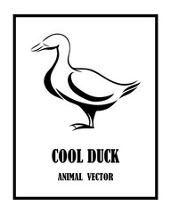 Vector Line Art Illustration logo of a duck. It is standing. It is black and white.