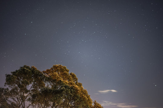 The view of night sky from a hill in Auckland