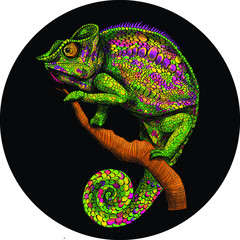 stylized chameleon green graphics abstraction on black background