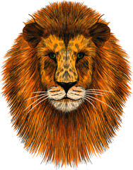 the head of a lion realism orange