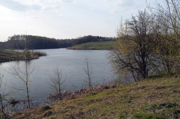 Eastern Europe spring landscape. Poltava Region