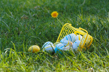 Easter eggs lay  in a yellow basket on the green grass on a sunny day. Happy easter day.