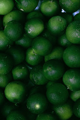 calamansi lime