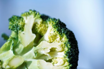 broccoli on a light blue background