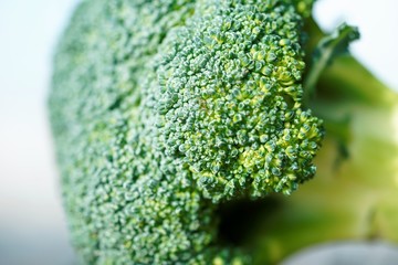 close up of fresh green broccoli