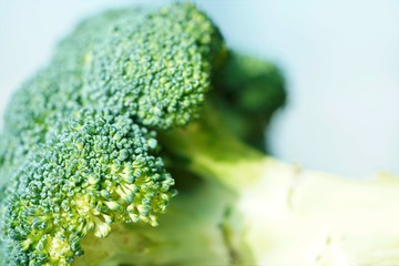 close up of broccoli brunch by light background 