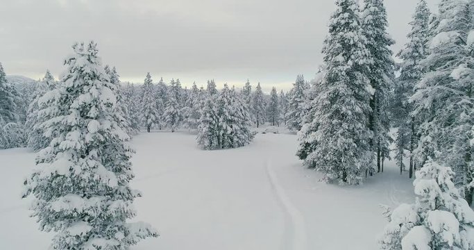 Forward Dolly towards a Lone White Van among a Beautiful Winter Wonderland