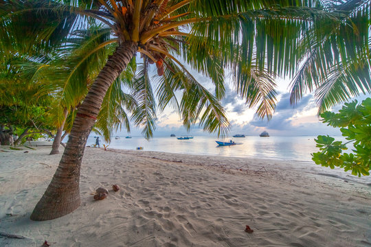 The beautifull beach of Dhangethi, maldives. Known for Diving, day tour for resort and this beautifull beaches and the swing in the water
