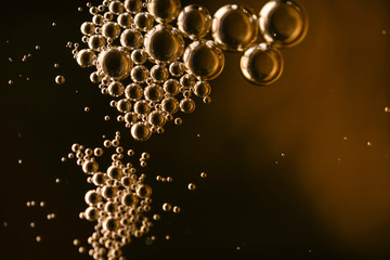 Beer Bubble macro Wallpapers 
