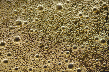 Beer Bubble macro Wallpapers 