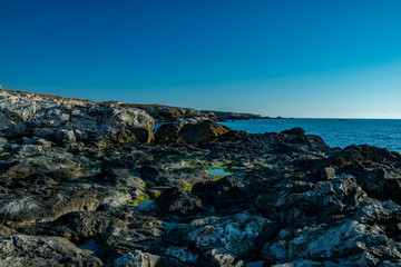 Fototapeta na wymiar rocks in the bay and marine vegetation in waters