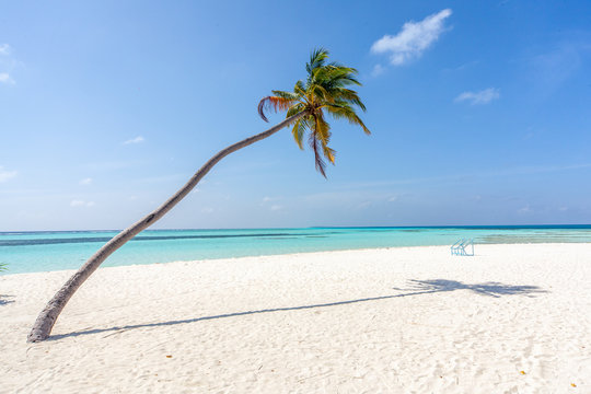 The beautifull beach of Dhangethi, maldives. Known for Diving, day tour for resort and this beautifull beaches and the swing in the water