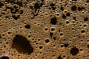 Beer Bubble macro Wallpapers 