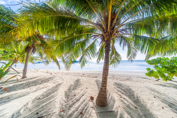 The beautifull beach of Dhangethi, maldives. Known for Diving, day tour for resort and this beautifull beaches and the swing in the water