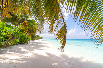 The amazing long white sand beach of Dhigurah, Maldives