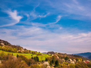 Spring hilly landscape with blooming trees and angelic clouds in the shape of a white dove