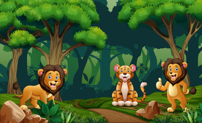 Lion and tiger living in the jungle