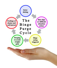 Stages of Binge Purge Cycle.