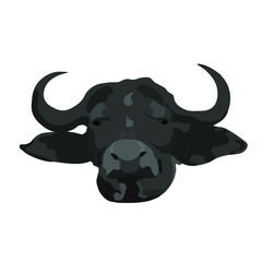 Vector african buffalo, bull, zubr, cute animal