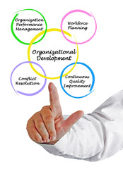 Four Goals of Organizational Development.