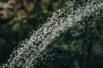 Water sprinkler in my garden this afternoon. Giving a dream like vision trough the water drops
