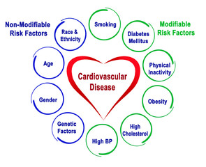 Non-Modifiable and Modifiable Risk Factors for Cardiovascular Disease