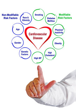 Non-Modifiable And Modifiable Risk Factors For Cardiovascular Disease