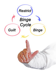 Three components of Binge  Cycle