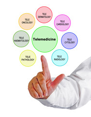 Presenting seven fields of telemedicine