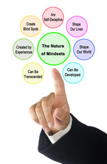 Man Presenting Nature of Mindsets