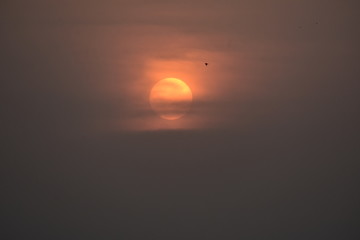 sunset over the sea