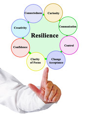 Eight Factors Supporting Development of Resilience