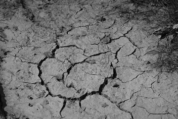 cracked soil texture