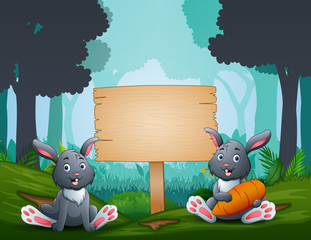 The Easter bunnies with a wood sign board on forest background