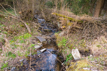 pure water stream in forest