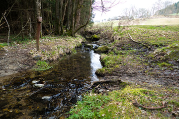 pure water stream in forest
