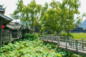 Fototapeta na wymiar Beautiful scenery of yangshuo