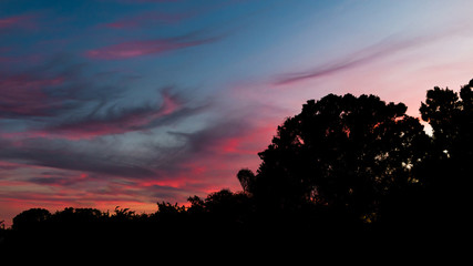 sunset in the forest