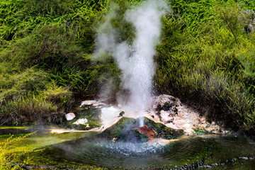 Naklejka na ściany i meble Hot springs at Waimangu geothermal park in New Zealand.